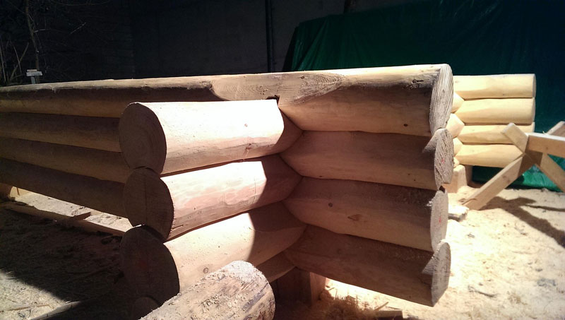 Log House